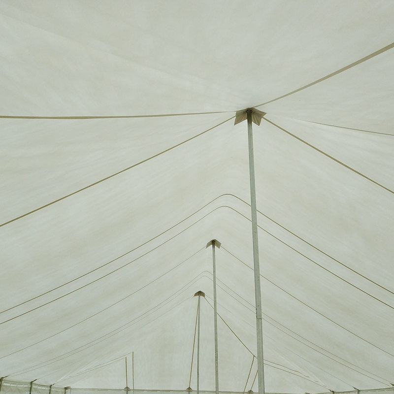 9X18m Traditionellt PVC kraftigt stångtält